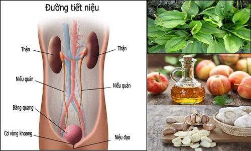 Điều trị viêm đường tiết niệu bằng cách nào an toàn hiệu quả?