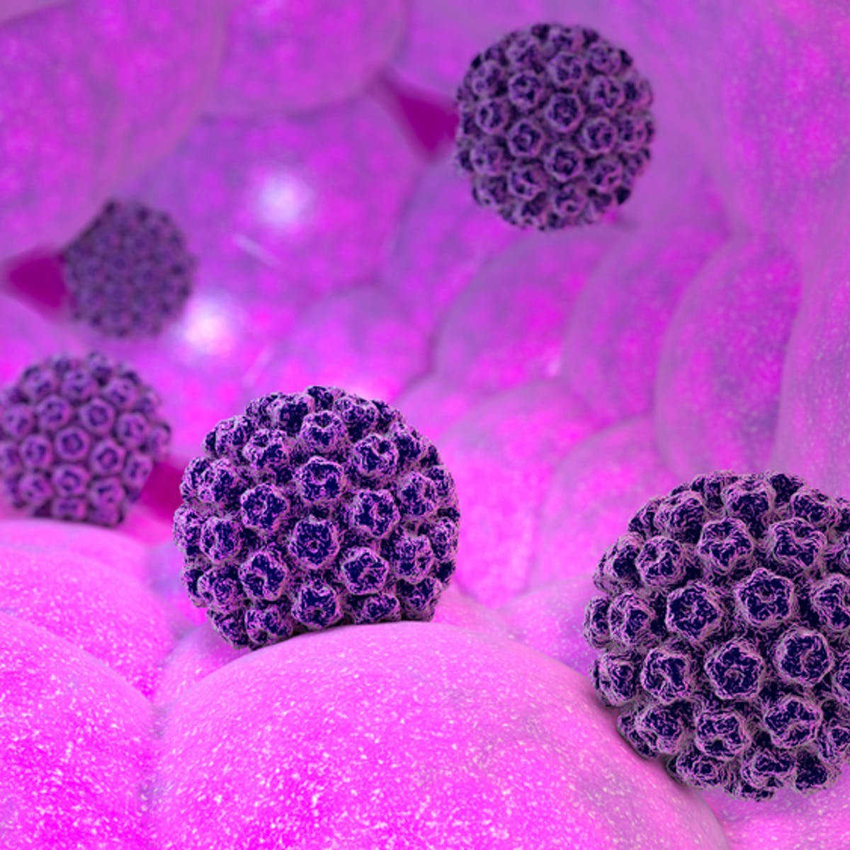 Virus HPV lây nhiễm như thế nào?