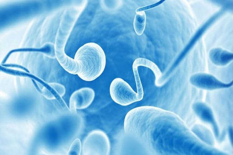 Xuất tinh sớm ảnh hưởng chất lượng tinh trùng không?