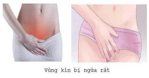 Vùng Kín Bị Ngứa Và Khô