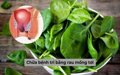 Lời đồn chữa bệnh trĩ bằng rau mồng tơi có thực sự hiệu quả?