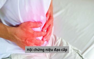 Hội chứng niệu đạo cấp: Nguy hiểm khôn lường!