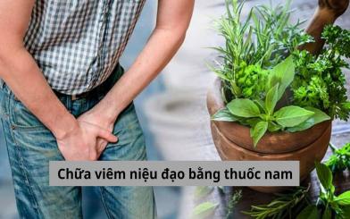 Giải pháp tự nhiên: Chữa viêm niệu đạo bằng thuốc nam