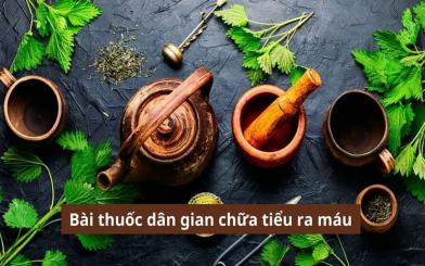 [TOP 7+] Bài thuốc dân gian chữa tiểu ra máu an toàn, hiệu quả