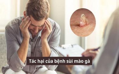 6 tác hại của bệnh sùi mào gà, không nên chủ quan
