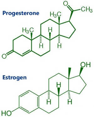 Estrogen kết hợp với progesteron khắc phục suy buồng trứng hiệu quả 