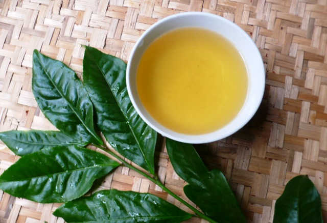 Cách chữa ngứa vùng kín bằng lá trà xanh có an toàn?