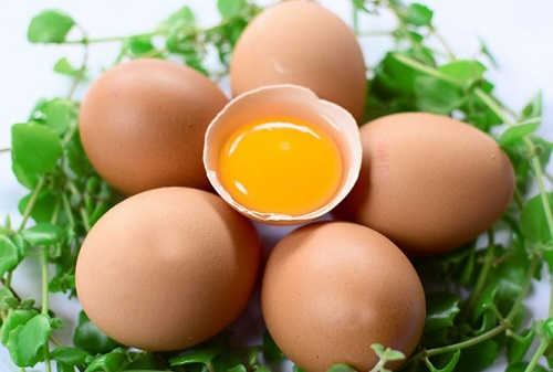 Trứng giúp bảo vệ các tế bào tinh trùng 1 cách khỏe mạnh