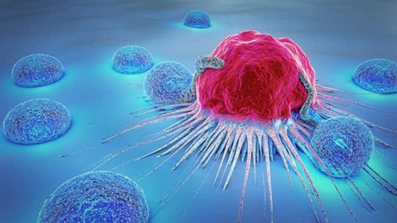 Virus HPV có gây ung thư không?